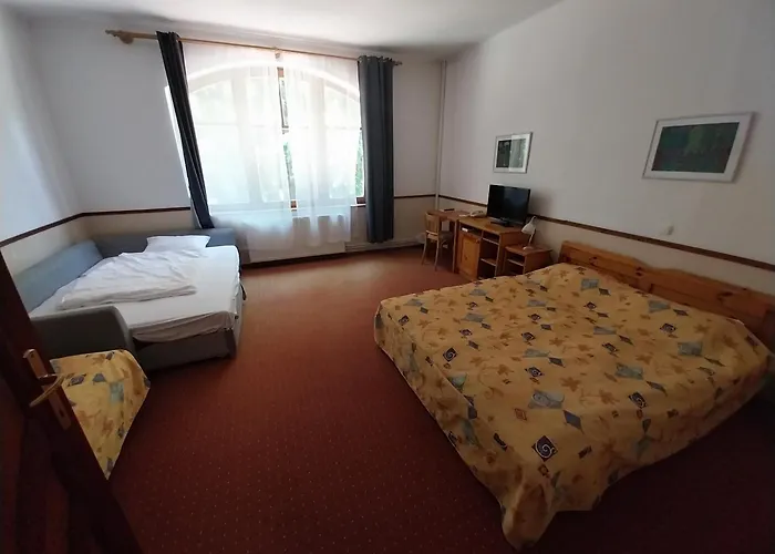 Bakony Hotel